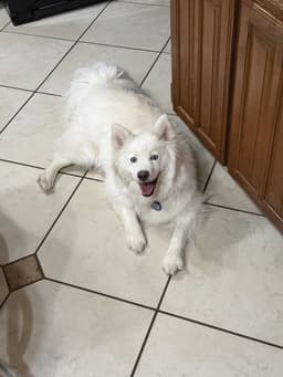 Shayla image 3