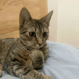 Itsy image 3