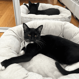 Ophelia And Theo image 2