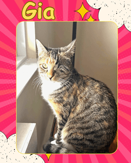 Gia - One Eyed Beauty image 1