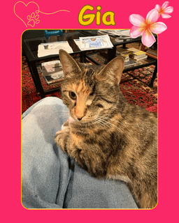 Gia - One Eyed Beauty image 2