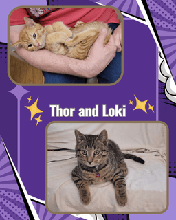 Thor And Loki image 3