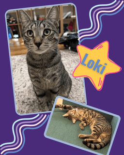Thor And Loki image 2