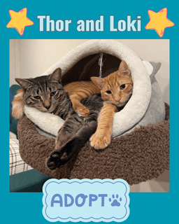 Thor And Loki image 1