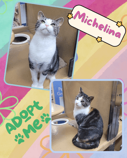 Michelina image 4