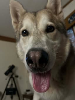 Keno image 1