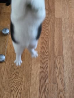 Fudge image 4