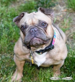 Etta image 2