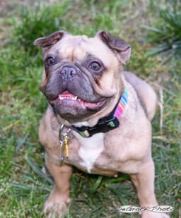 Etta image 3
