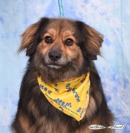 Freya image 2