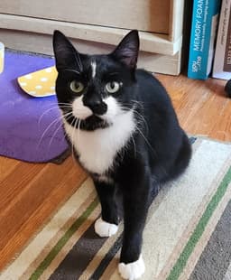 Ruggles image 3