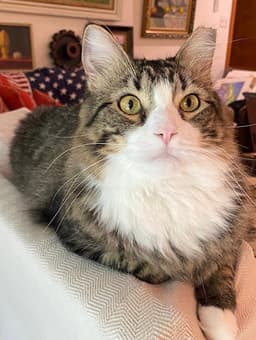 Fluff image 3