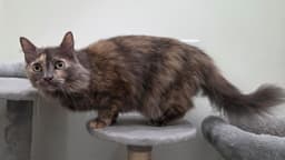 Pita Bonded To Whitey image 3