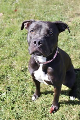 Sasha image 3