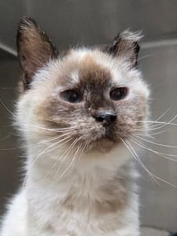Mildred image 1