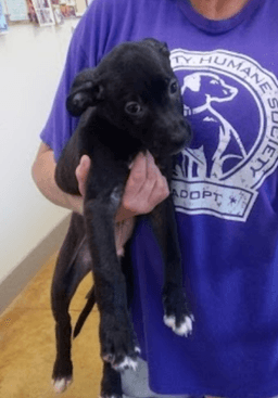 Zach image 1