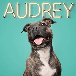 Audrey image 1