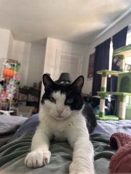 Kiki image 3