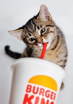 Whopper image 4
