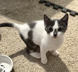 Monty image 2