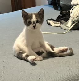 Monty image 3