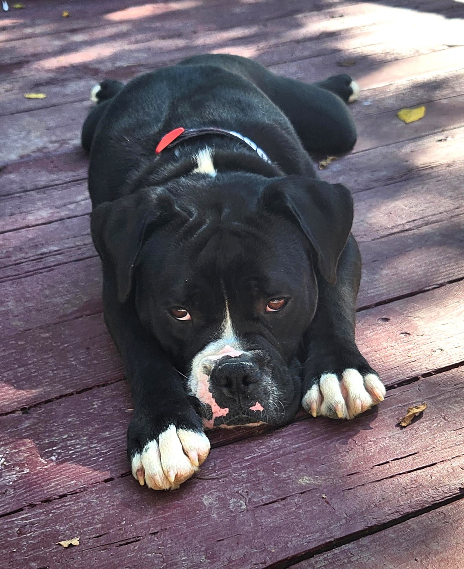 Benny Fka Azul