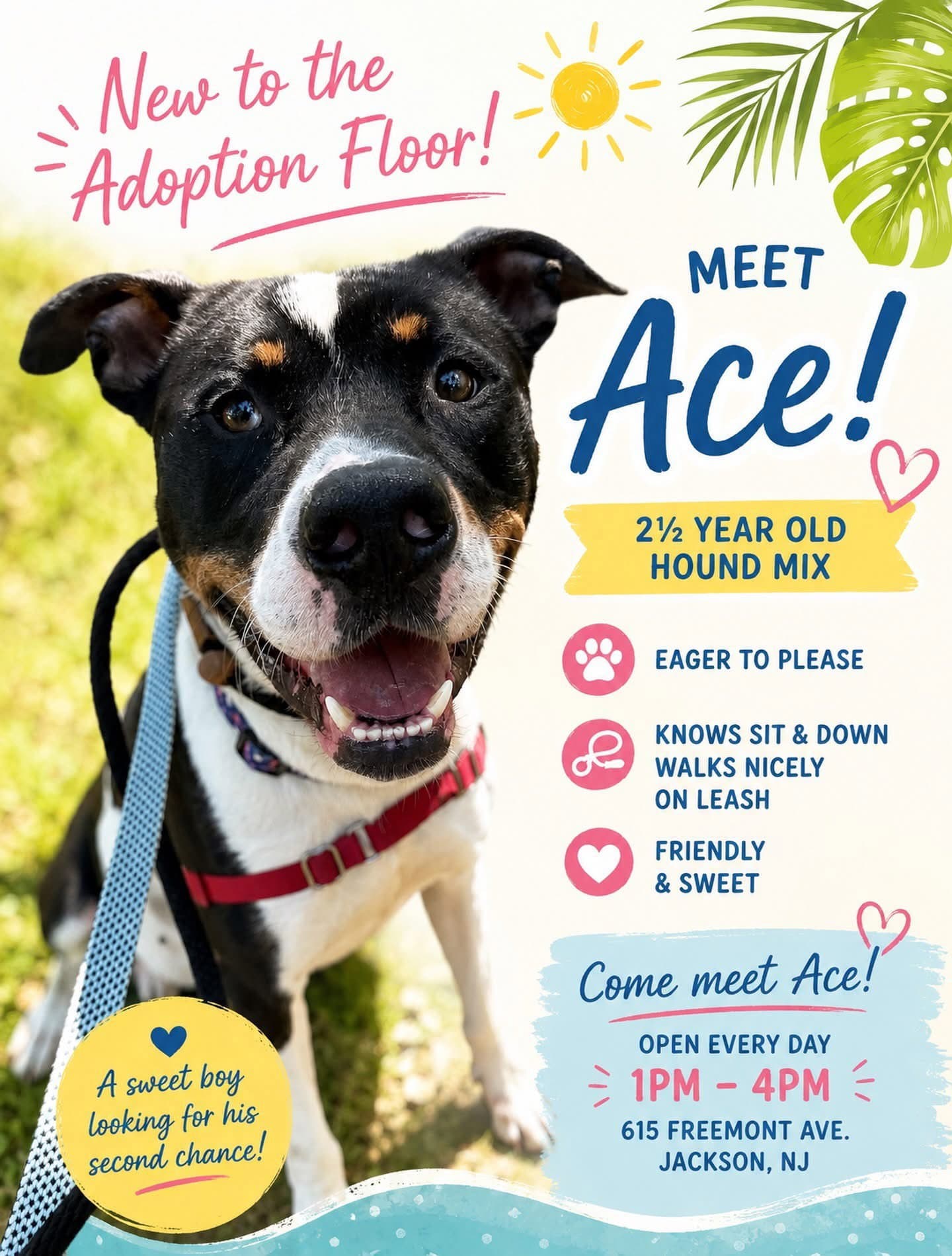 Ace - Hound