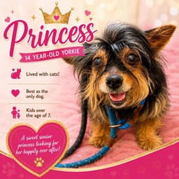 Princess image 1