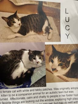 Lucy image 2