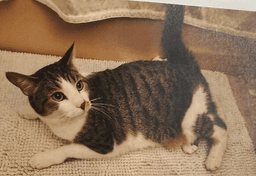 Lucy image 4