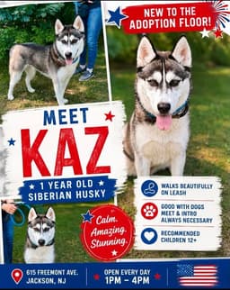 Kaz image 3