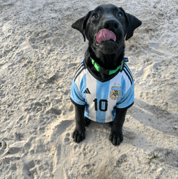 Messi image 2