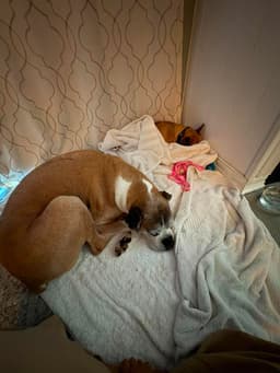 Zoey image 2