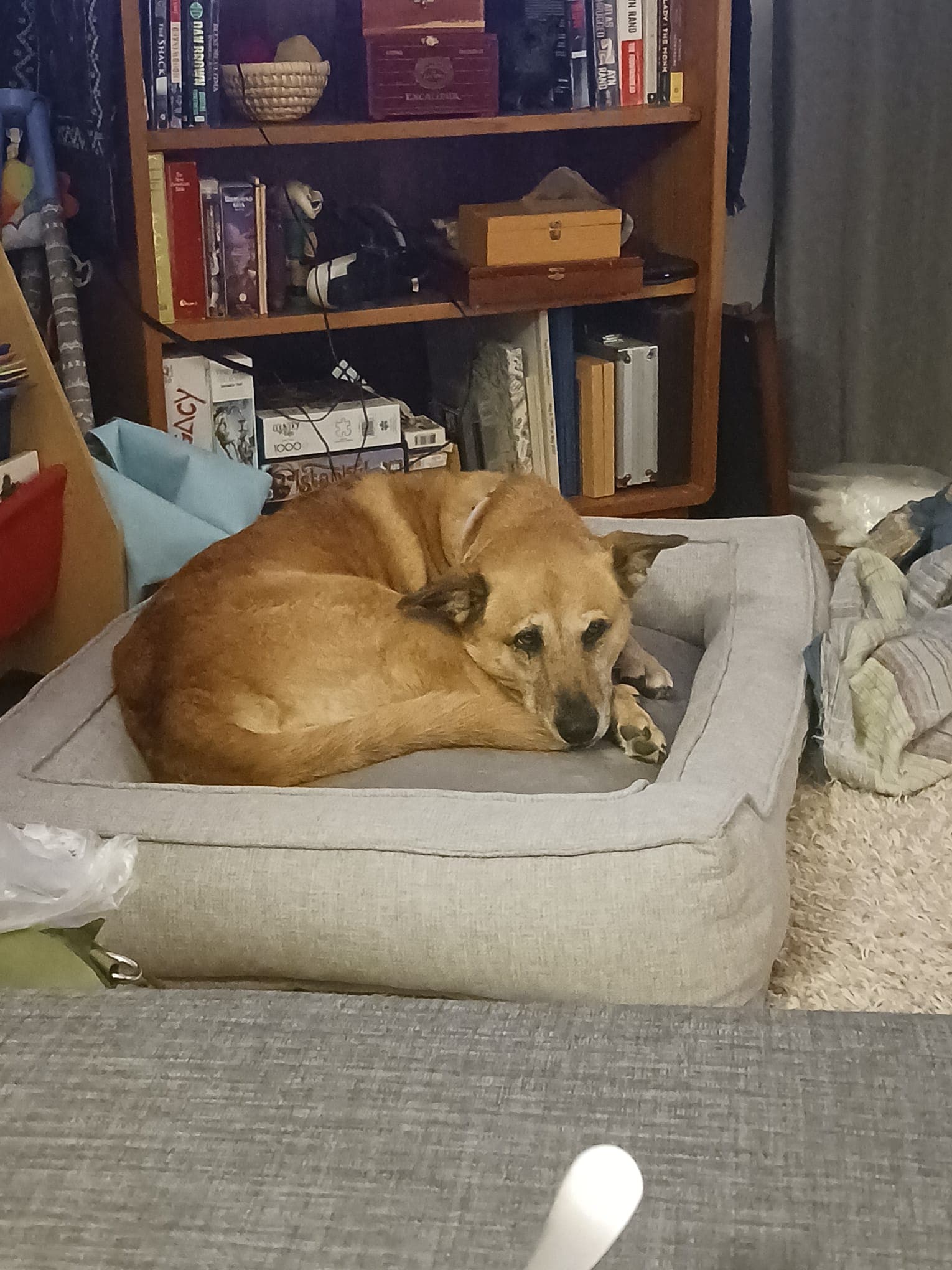 Tyche - Unknown