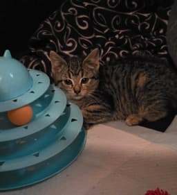 Thelma image 1
