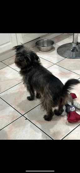 Chloe image 3