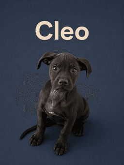 Cleo image 1