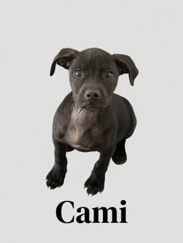 Cami image 1