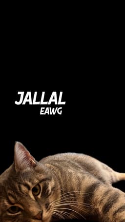 Jallal image 1