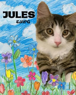 Jules image 1