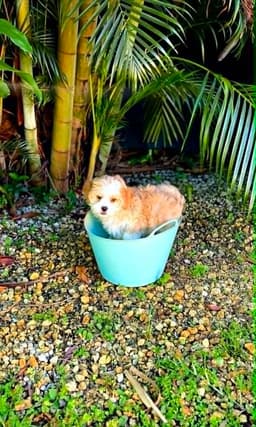 Sprout image 2