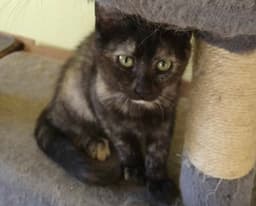 Emmy Lou image 2