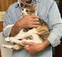 Marla Bonded With Mervin image 2