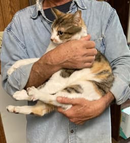 Marla Bonded With Mervin image 3