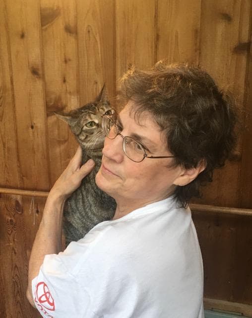 Kimberly Bonded With Nellie - Domestic Short Hair