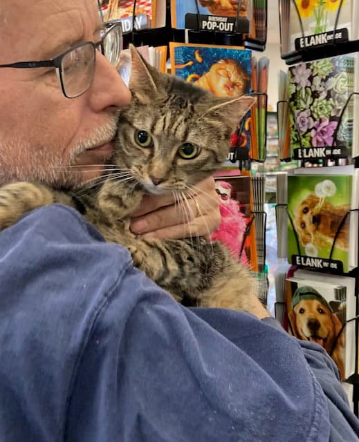 Little Cuyie Bonded With Meribeth - Domestic Short Hair