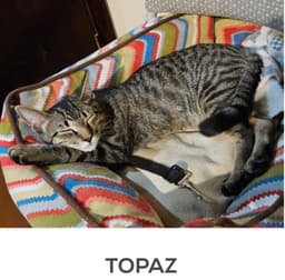 Topaz image 1
