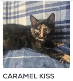 Caramel Kiss image 1