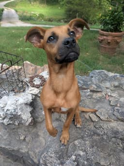Sofie image 1