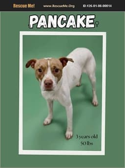 Pancake image 2